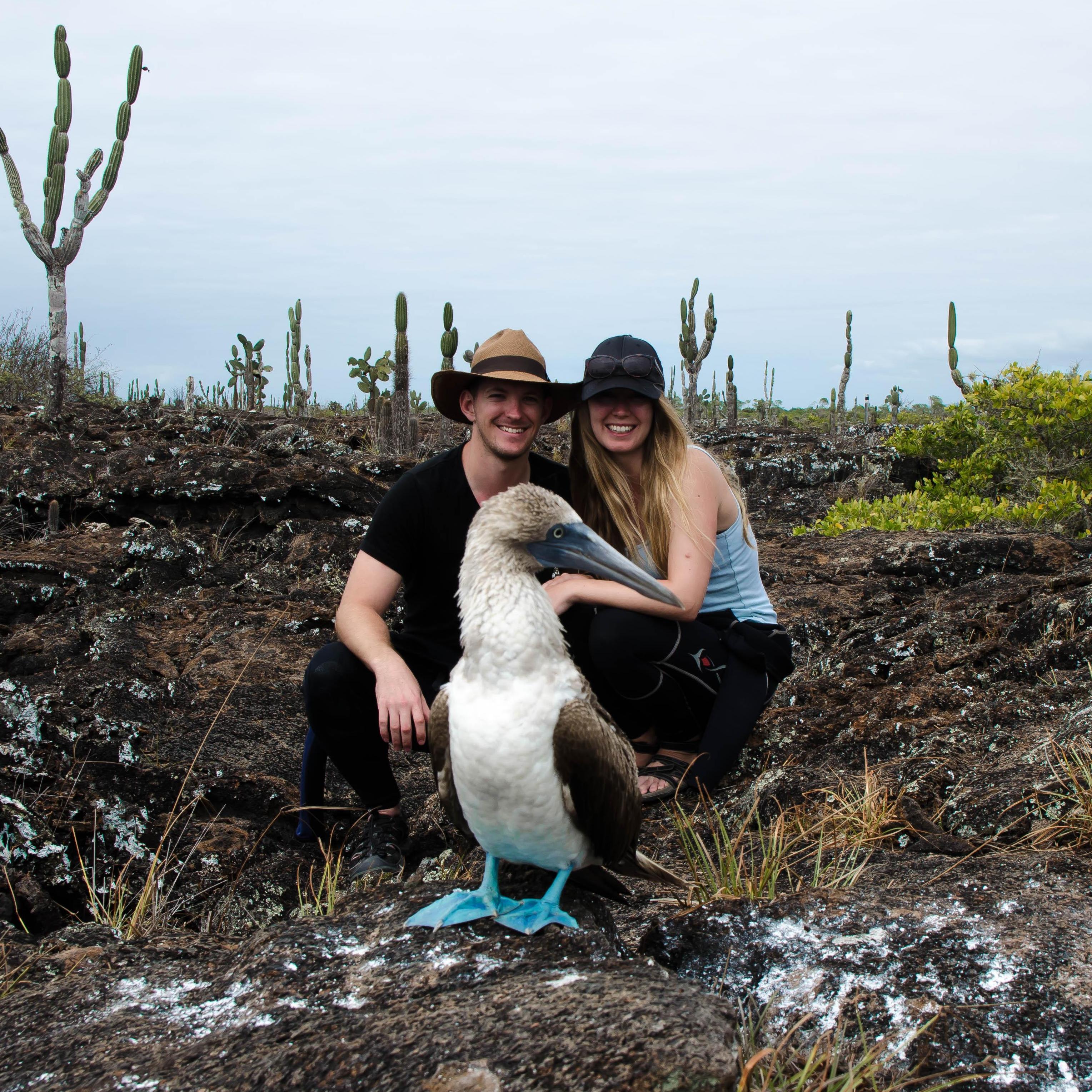 2017 - Hanging out with the imfamous blue footed boobie on Isabella Island, Galapagos