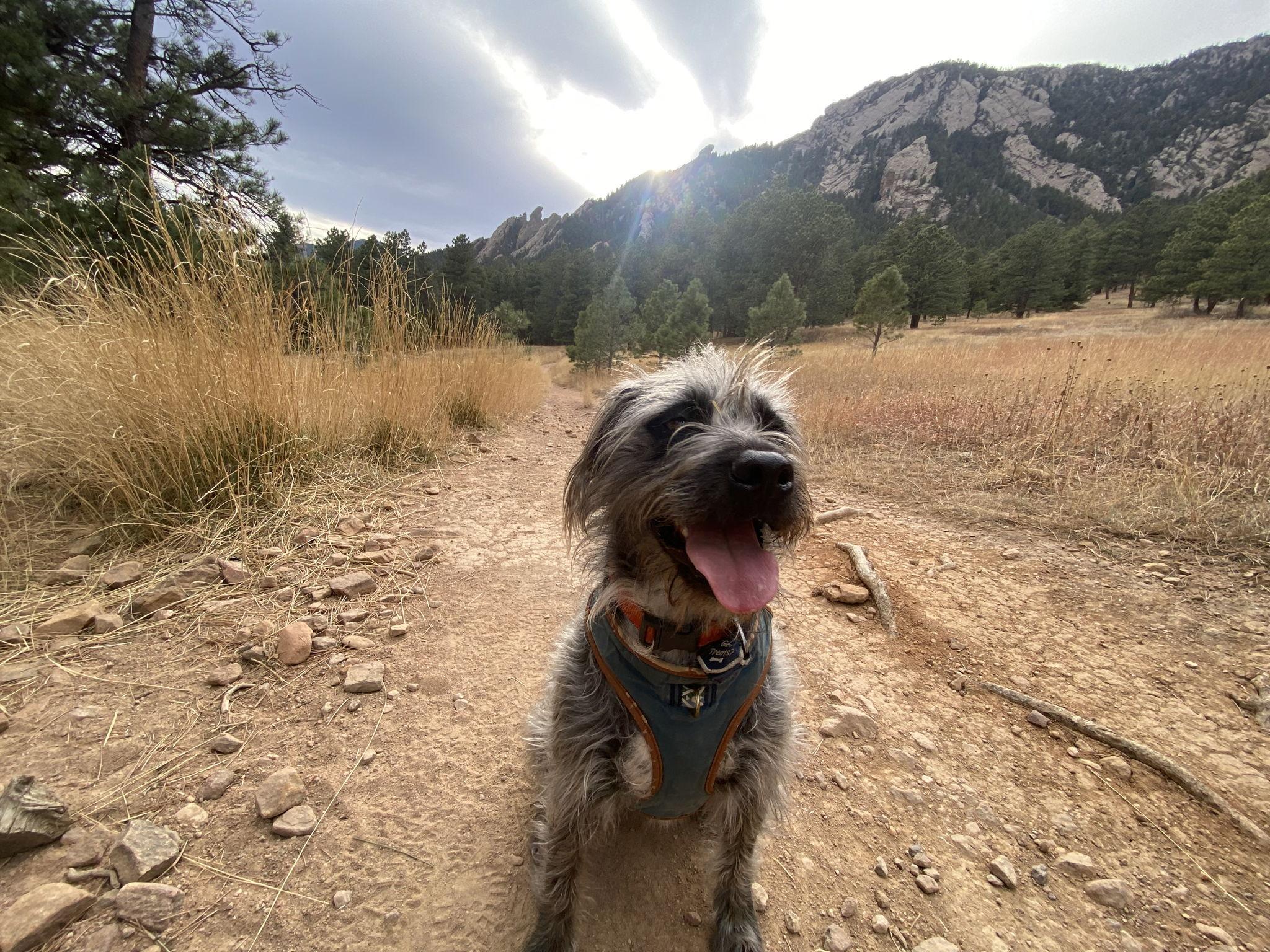 The Wedding Website of Malia Wright and Henry Halverstadt