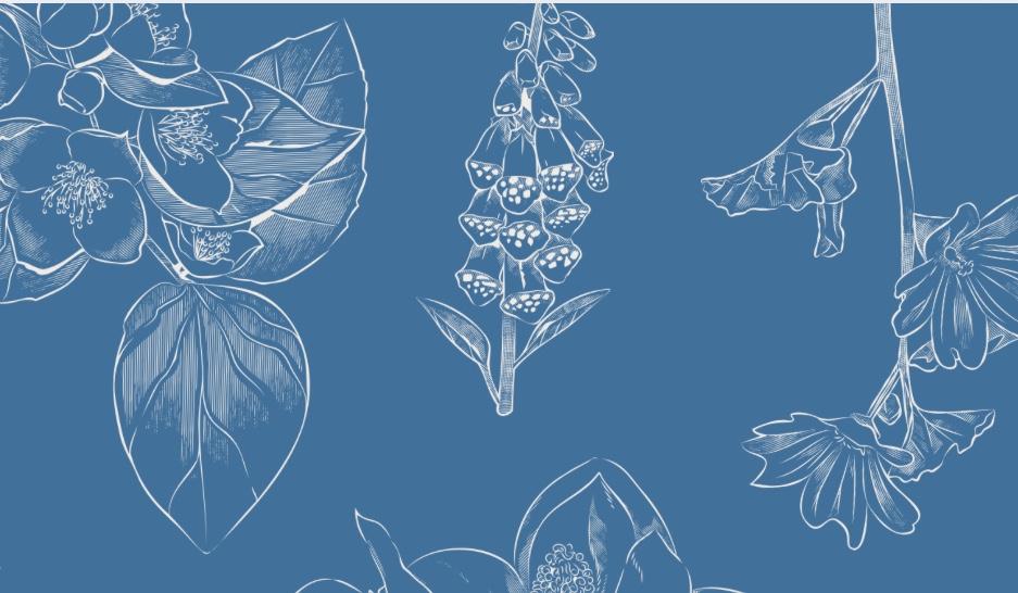 The Wedding Website of Molly Roberts and Luke Rippetoe