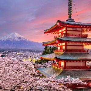 Our Honeymoon in Japan