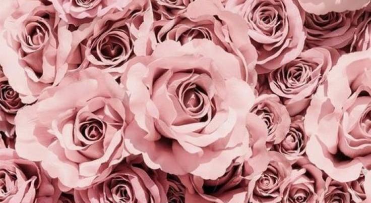 The Wedding Website of Jacob Perez and Jannelle Munoz