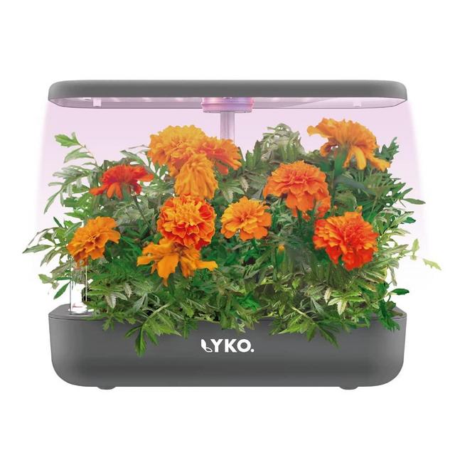 LYKO Hydroponics Growing System 12 Pods, Herb Garden Kit inoor with Pump System, Germination Kit with LED Light, Automatic Timer, Height Adjustable (7'' to 19.4''), 3.5L Water Tank for Kitchen, Grey