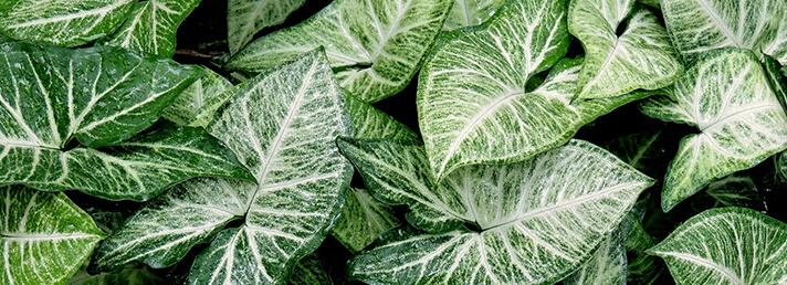 e655ecd0-76ed-4904-90e2-688f2141541a