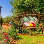 Apple Hill | High Hill Ranch