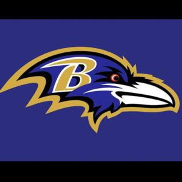 Our First Ravens Game as a Married Couple