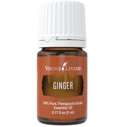 Ginger Essential Oil