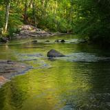 Nature Area