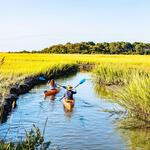 Kayak & Paddleboard Rentals & Tours - Southeast Expeditions