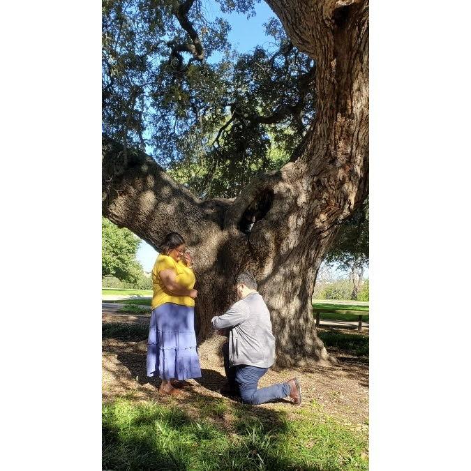Phillip proposed to me in front of Sorin's Oak at St. Edward's University! I absolutely loved it.