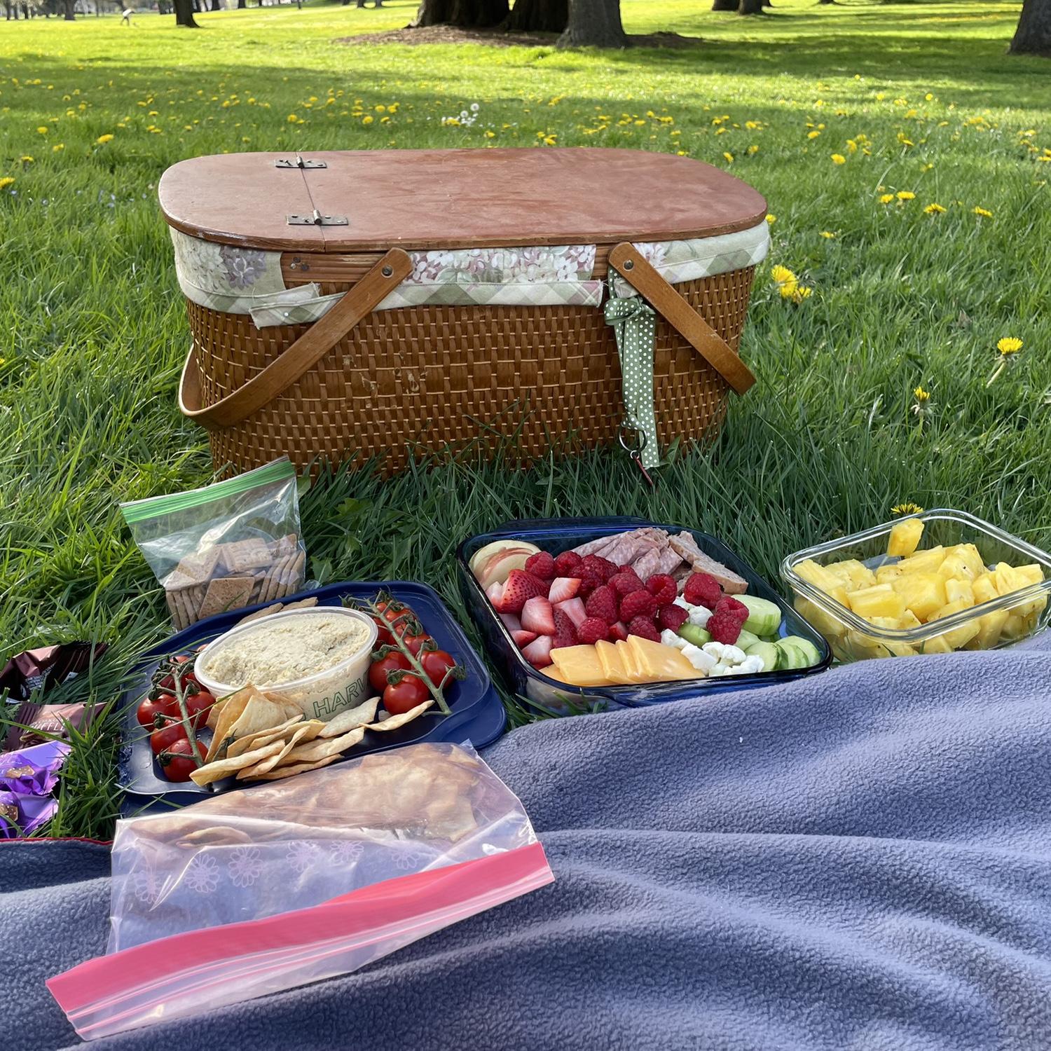 RJ put this romantic picnic together for one of our early dates.