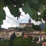 La Festa del Vino a Riana