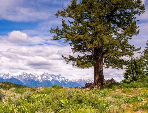 The Wedding Website of Margaret Maznek and Zander House