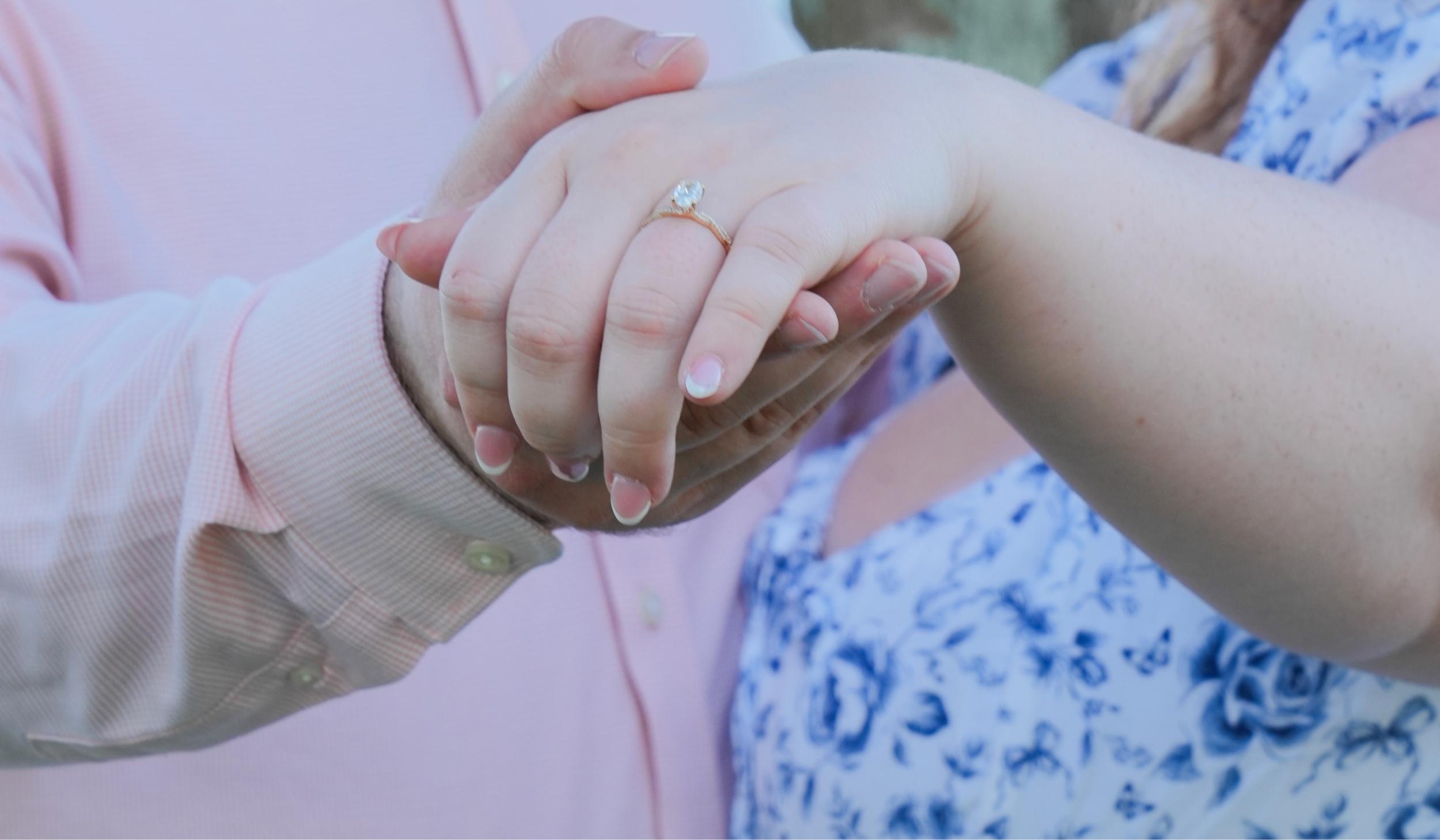 The Wedding Website of Halei Black and David Nelson