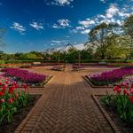 Cantigny Park
