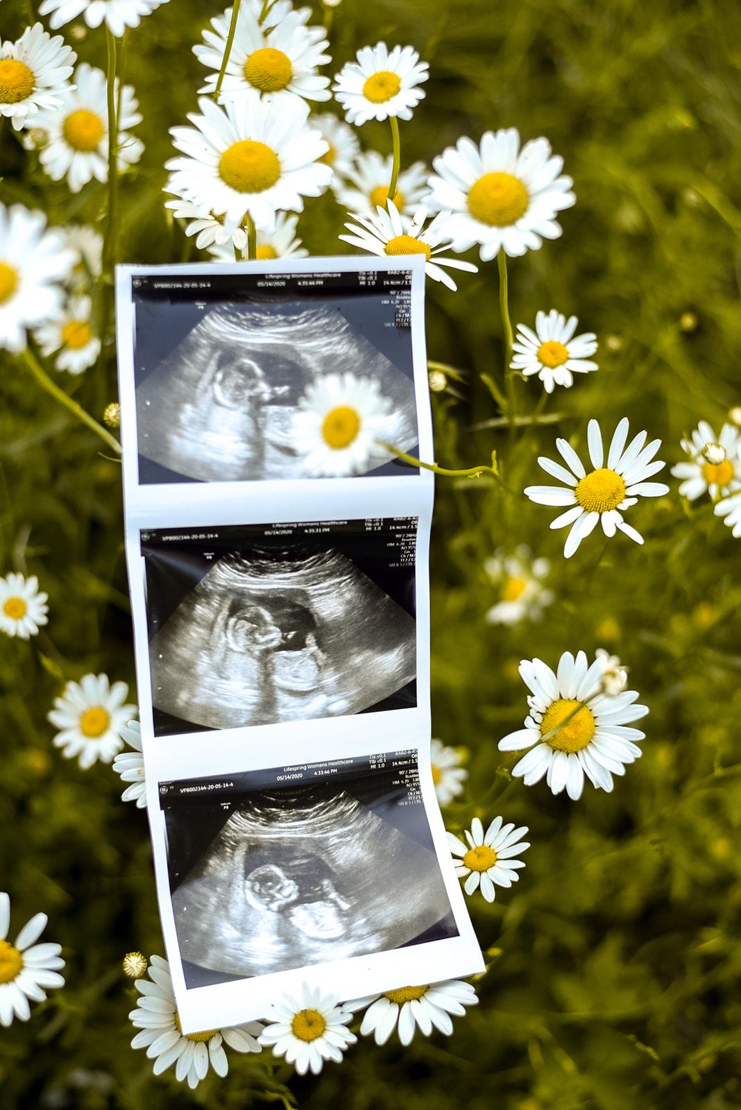 The Wedding Website of Helen Barker and Bryant Barker