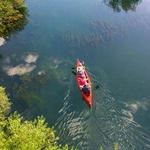 Crystal River Preserve State Park