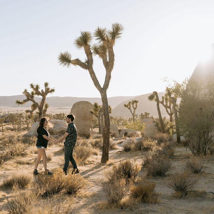 We got engaged at Joshua Tree National Park, California on September 19, 2024