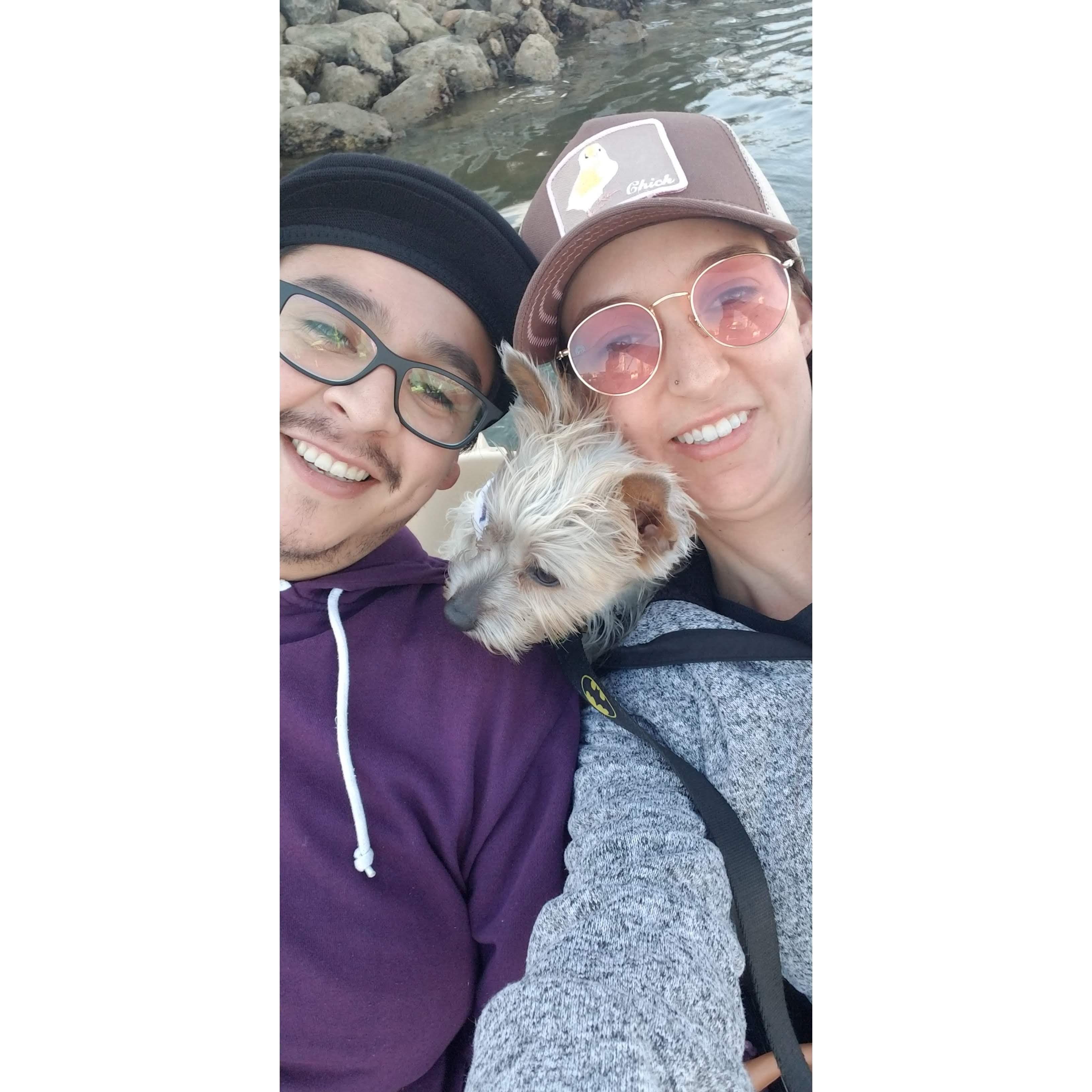 Adventures with Bruce