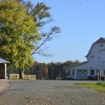 The Wedding Website of Leigh Ann Lingerfelt and Troy Williams