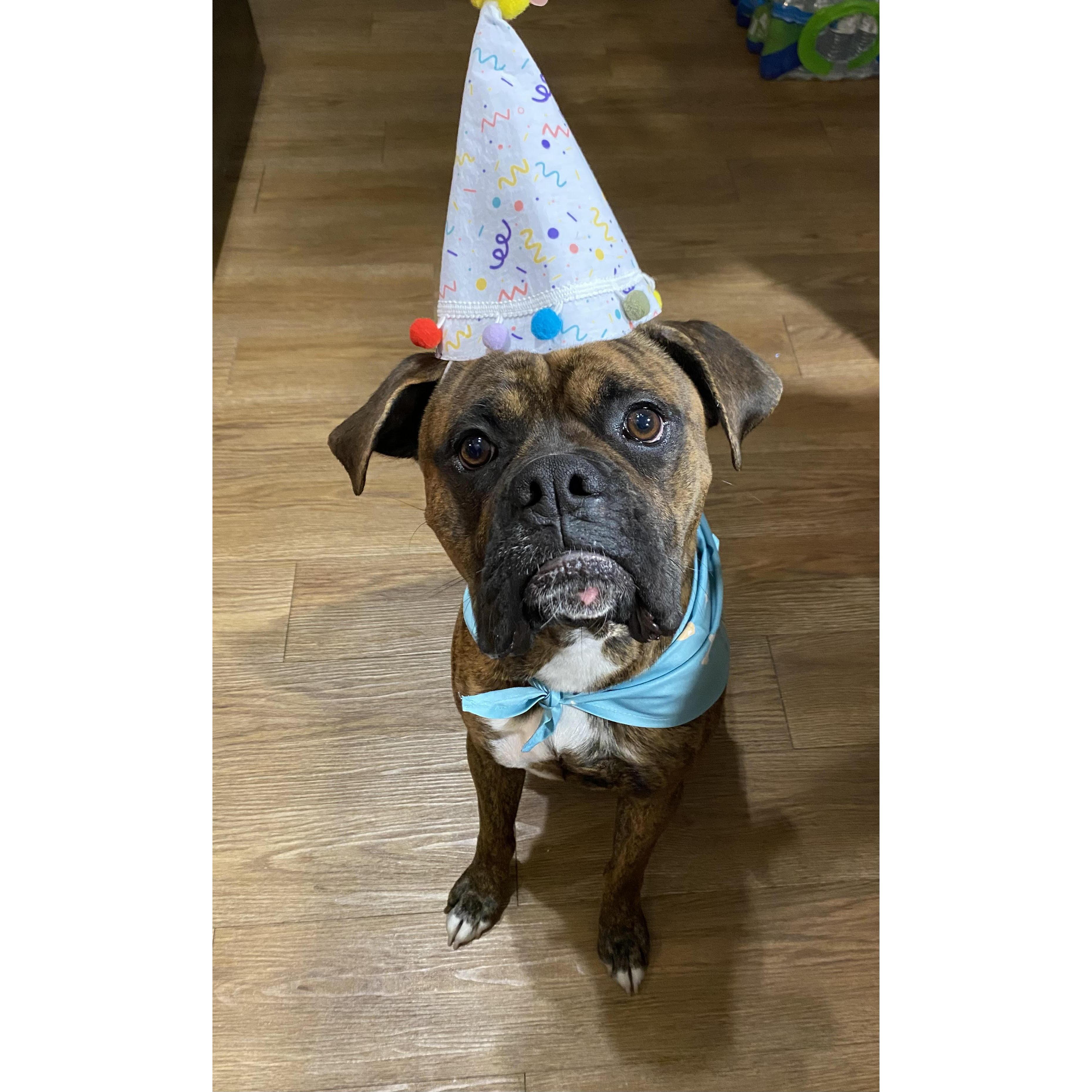 Our boy's first birthday!!