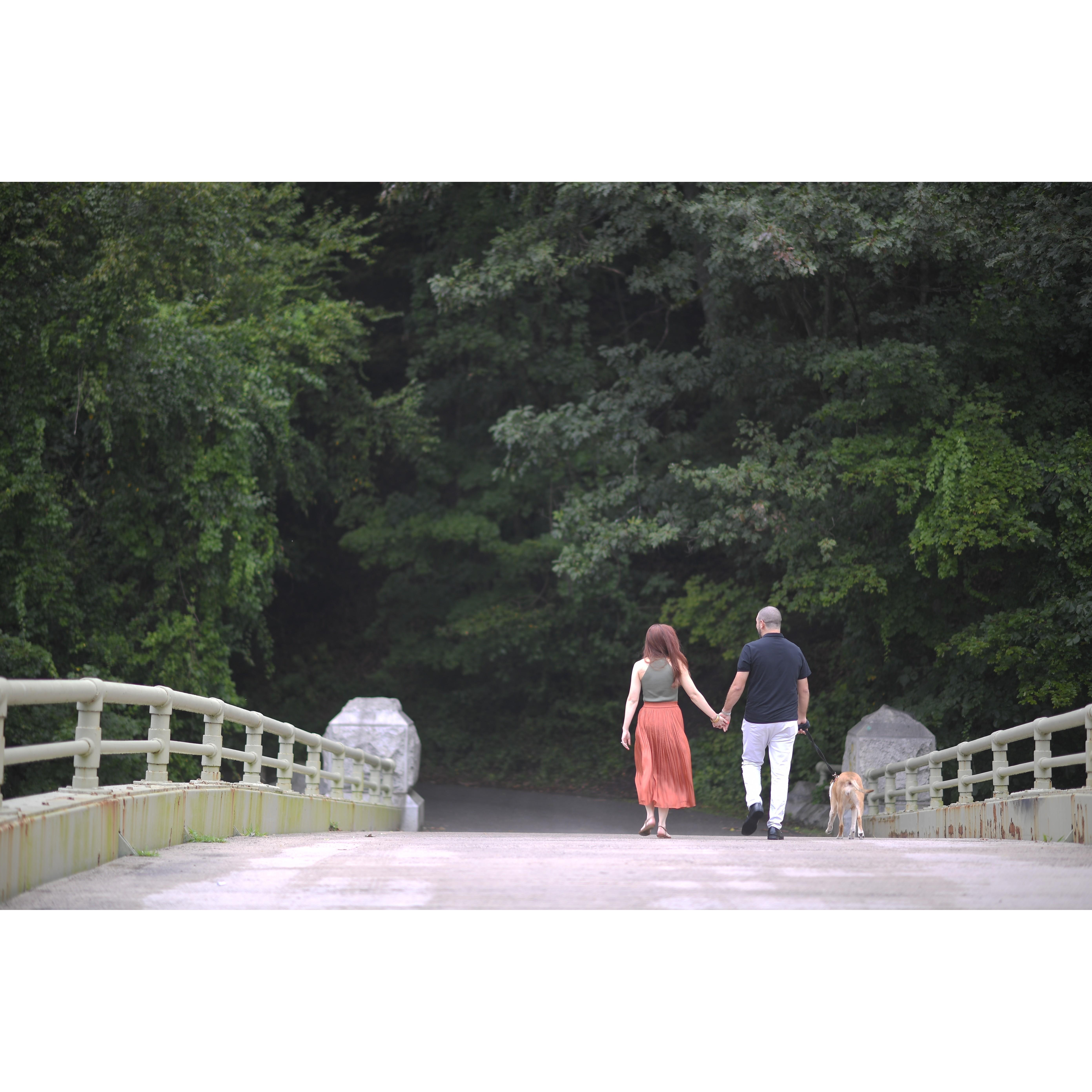 from the collection "walking a dog back and forth over a bridge"