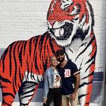 Detroit Tigers vs Arizona Diamondbacks