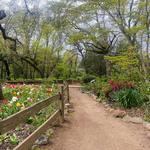 Jensen Botanical Garden