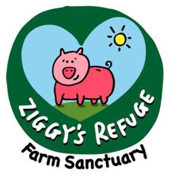 Donate to Ziggy's Refuge Farm Santuary