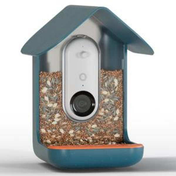 Smart Bird Feeder