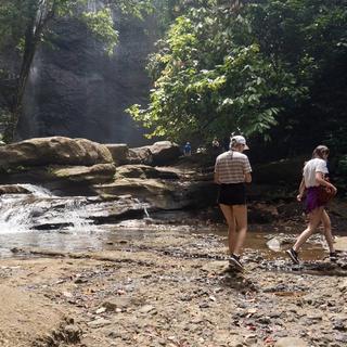 Rainforest Hike - Dennery, Saint Lucia