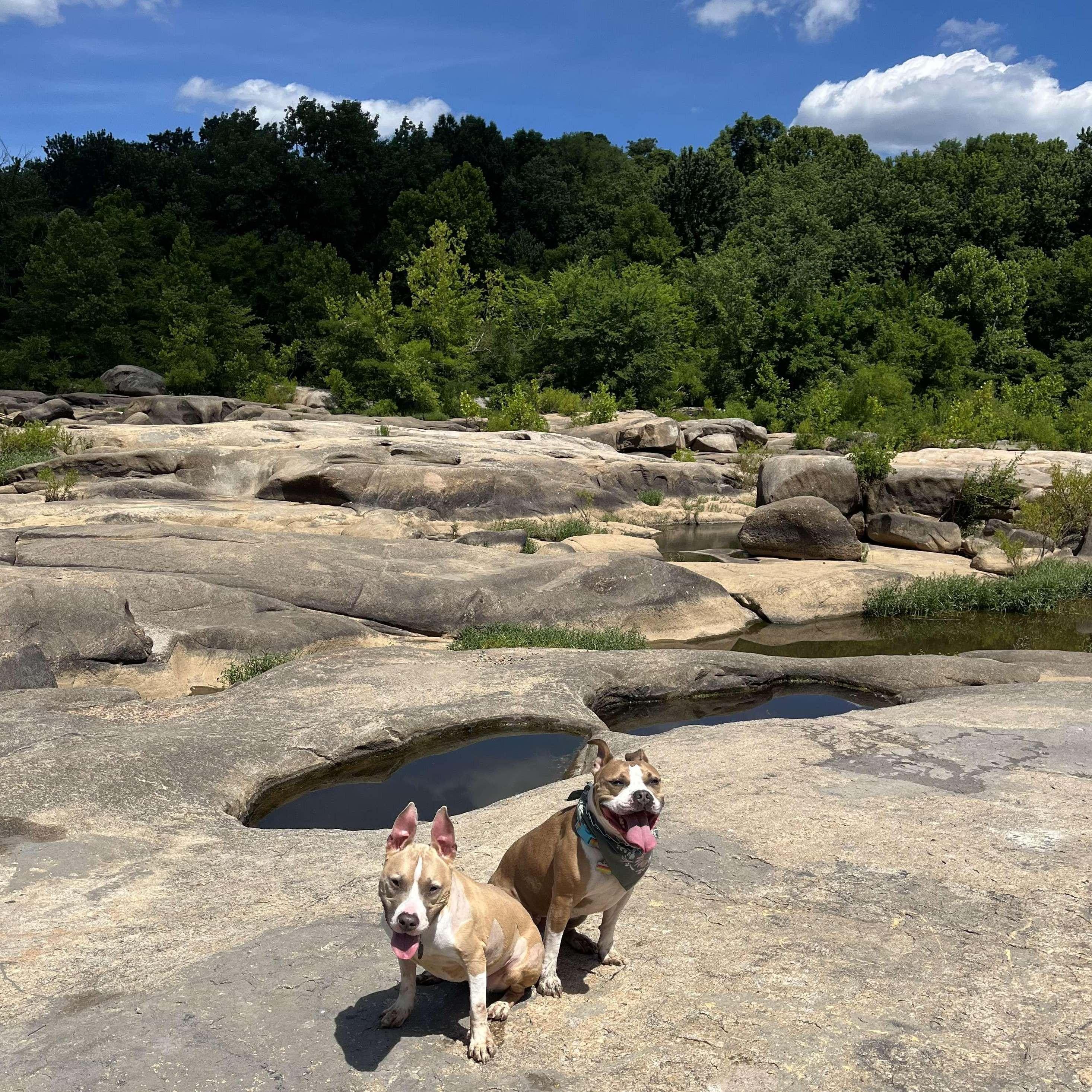 Callie and Daisy