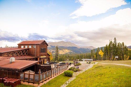 The Wedding Website of Patricia Holohan and Adrian Holcomb