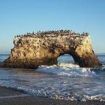 Natural Bridges Tidepools