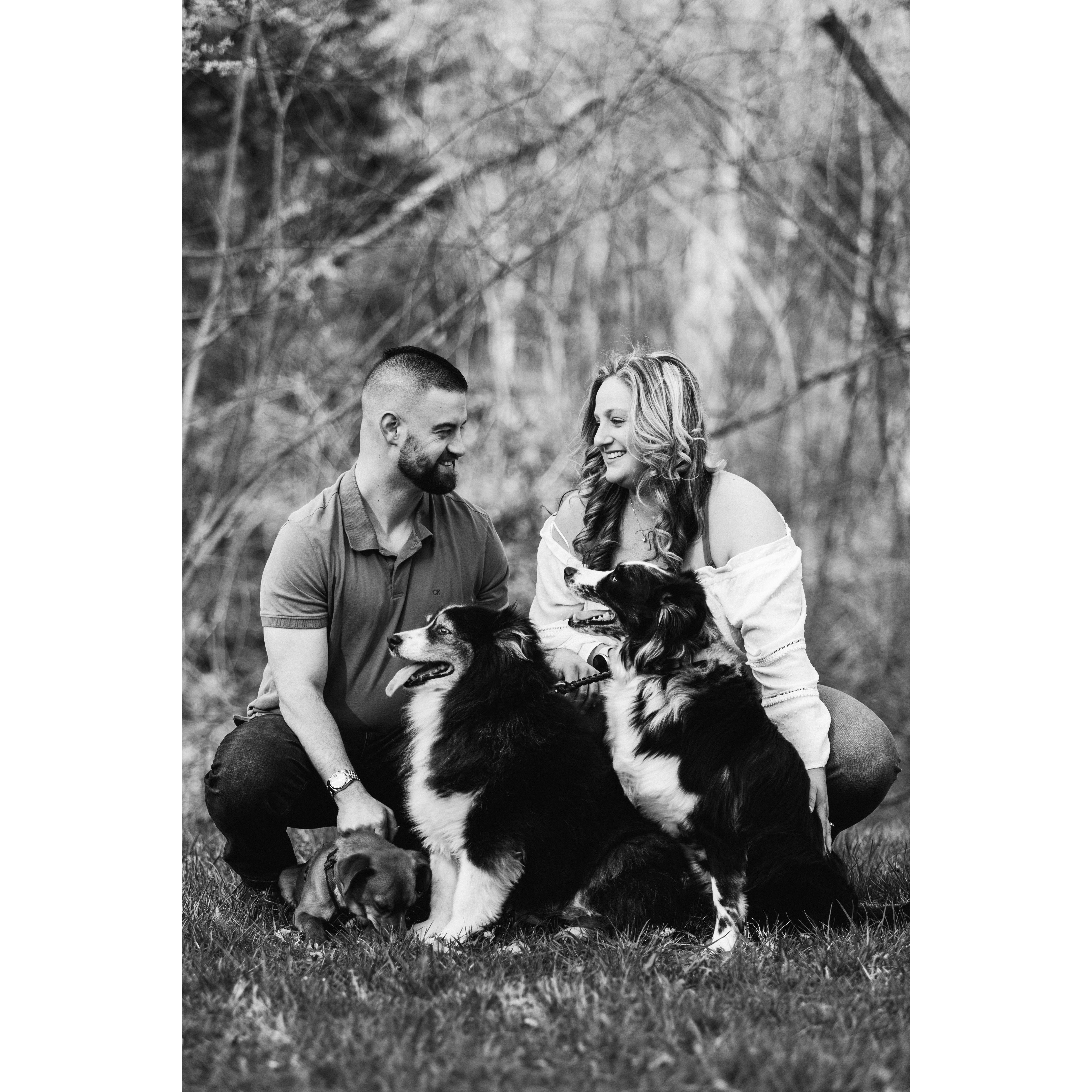 Family Pictured Left to Right: Frank, Lindsey, Avalanche, Bentley, & Dyna.