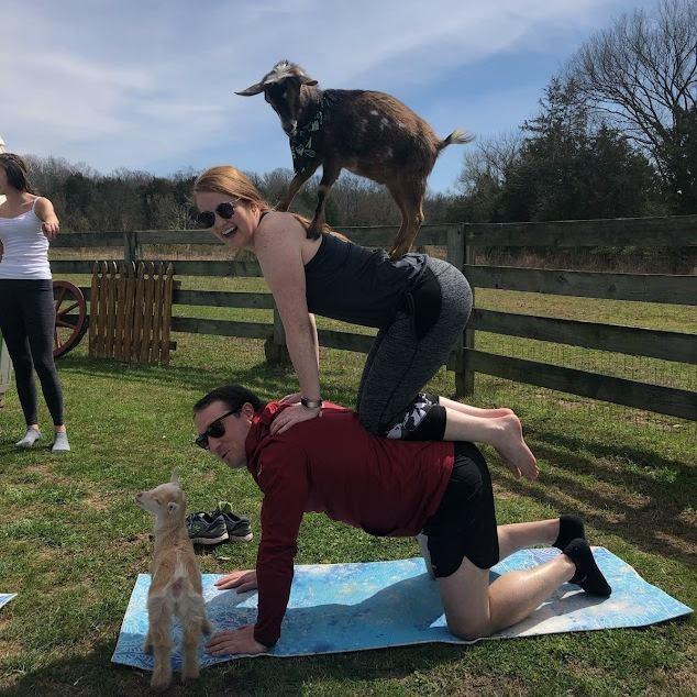 Goat yoga fun in Nashville for our friend Brittany's birthday!