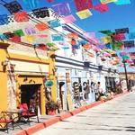 Explore Todos Santos