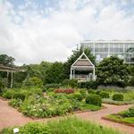 The State Botanical Garden of Georgia