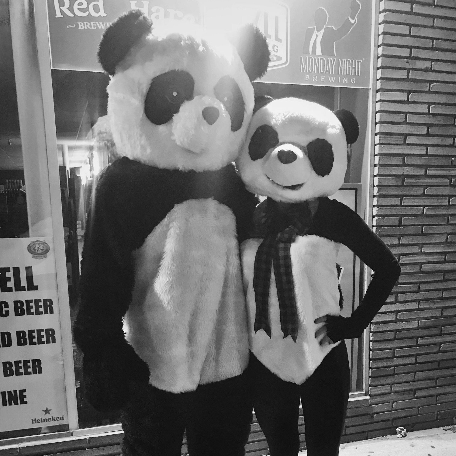 If you're a panda I'm a panda.
