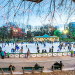Ice Skating in Frog Pond