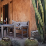 Georis Winery