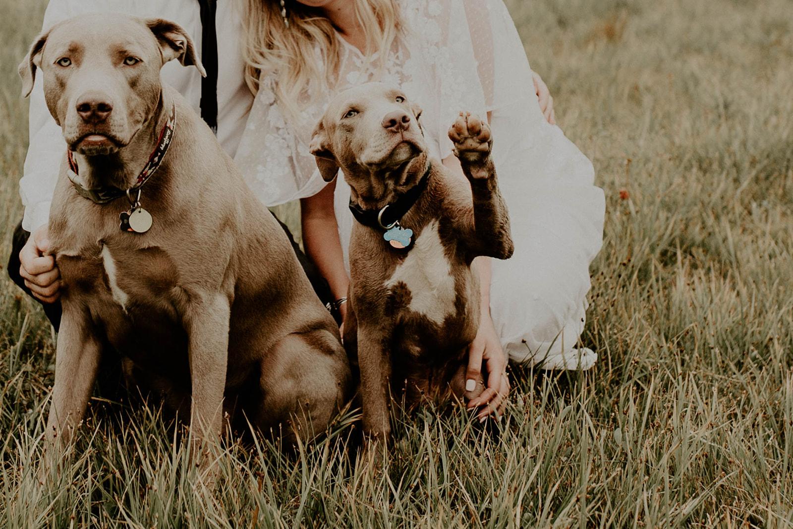 The Wedding Website of Savanna Hanna and Marshall Loewen