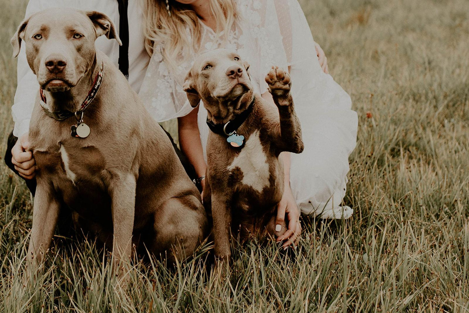 The Wedding Website of Savanna Hanna and Marshall Loewen