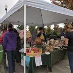 Elkins Farmers Market
