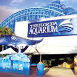 FL Aquarium Tampa