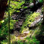 E.T. Mahoney State Park Hiking Trails