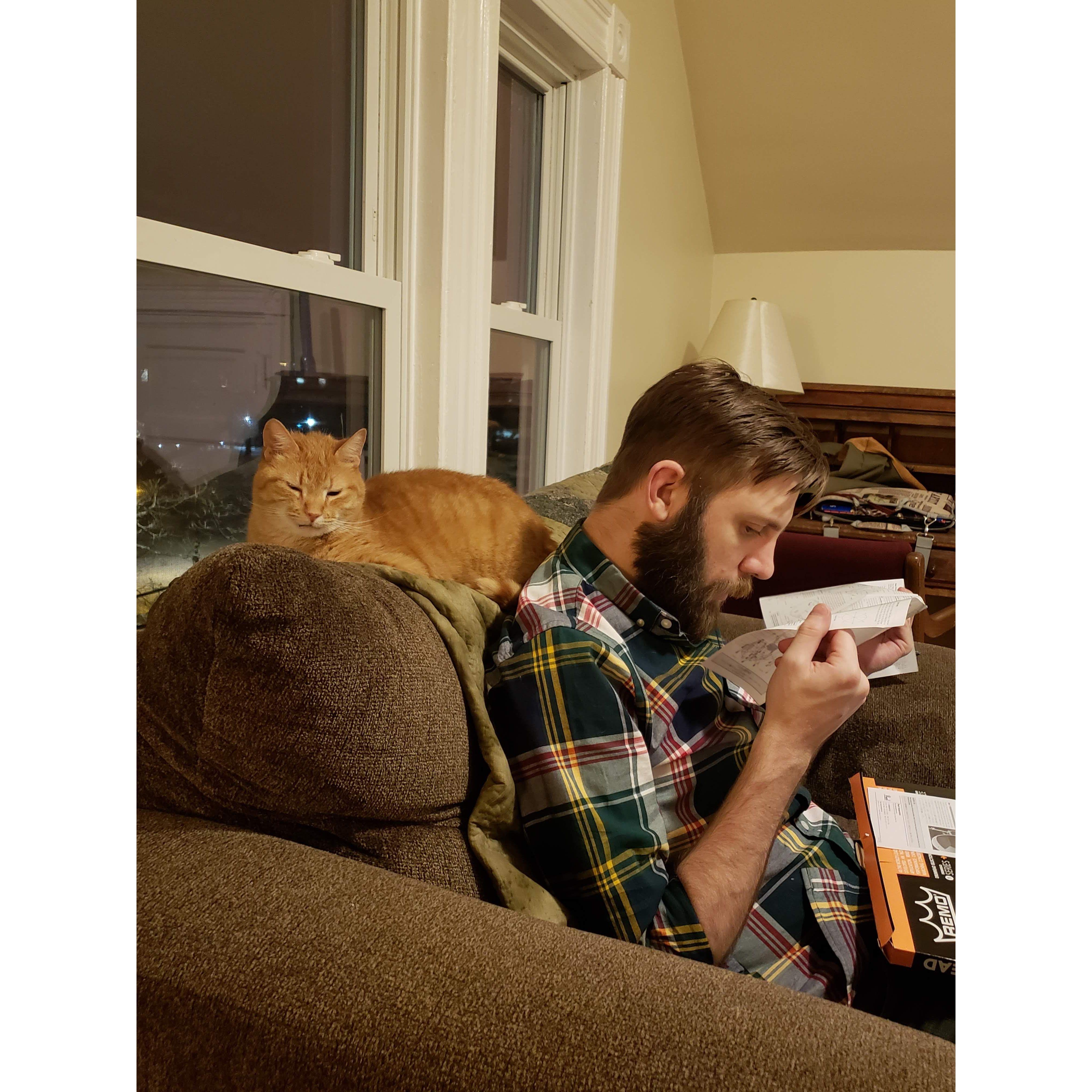 The cats are happy with the move :) January 2019