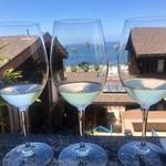 We Olive & Wine Bar