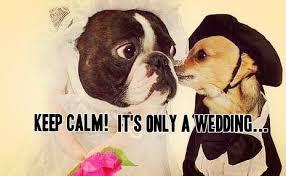 The Wedding Website of Ashley Mitchell and Andrew May ||