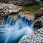 Wild Basin Wilderness Preserve