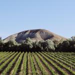 Idaho Wine Country: Koenig Vineyards